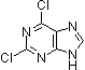 PI-10083 2,6-Dichloropurine (5451-40-1)